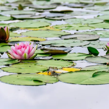 Appartement Modernes New Port 067 Mitten Im Gruenen Mit Eigener Terrasse Am Wasser Nr 67