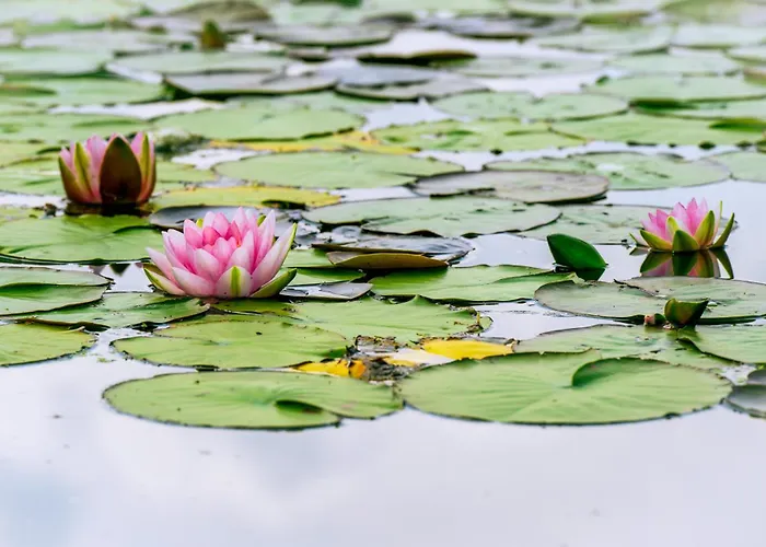 Appartement Modernes New Port 067 Mitten Im Gruenen Mit Eigener Terrasse Am Wasser Nr 67